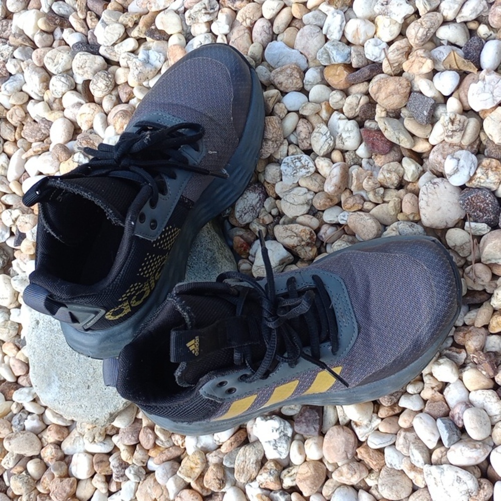 Adidas sneakers